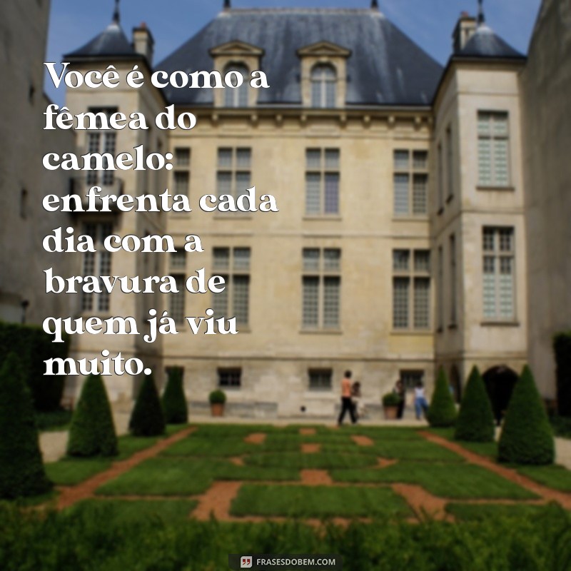 Descubra o Que Significa Ser Como a Fêmea do Camelo: Reflexões e Lições de Vida 