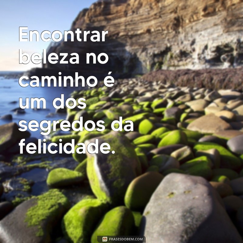 Descubra Inspirações: Frases Motivacionais Sobre o Caminho da Vida 