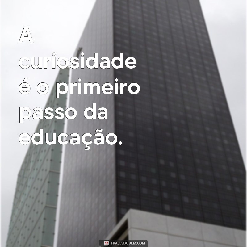 Frases Curtas Inspiradoras sobre Educação para Motivar e Refletir 