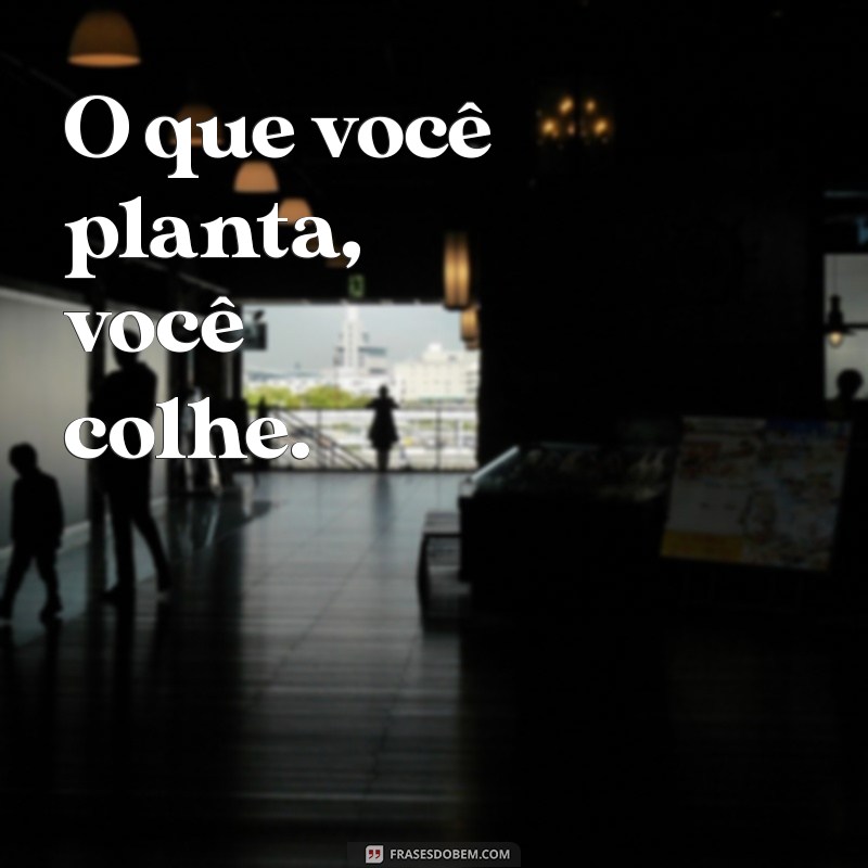 lei do retorno O que você planta, você colhe.