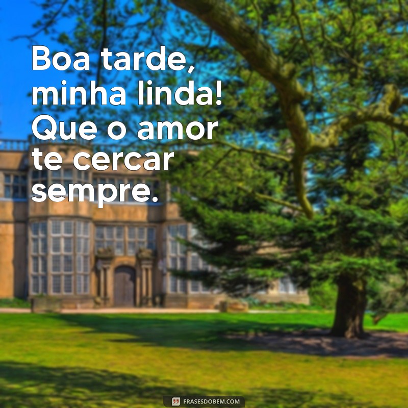 Como Encantar com uma Simples Mensagem: Boa Tarde, Minha Linda 