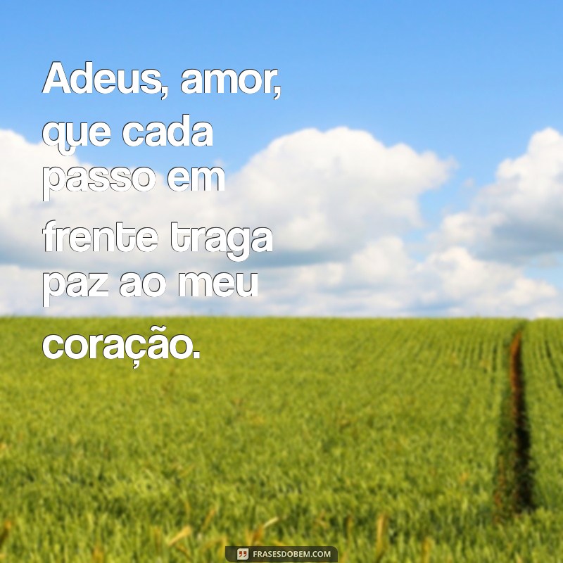 adeus amor Adeus, amor, que cada passo em frente traga paz ao meu coração.