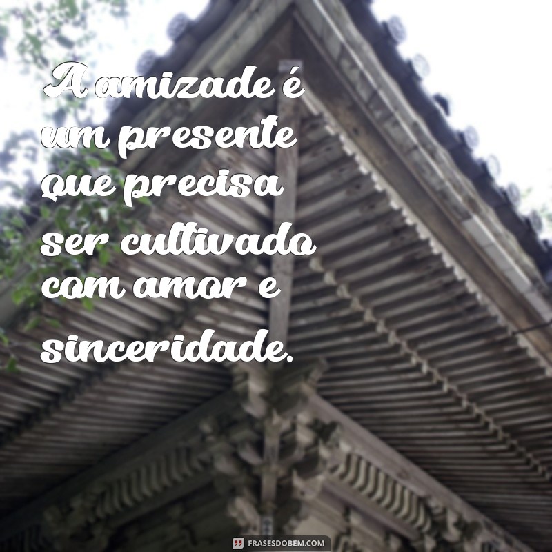 Frases Inspiradoras para Celebrar a Amizade Verdadeira 