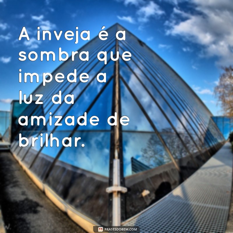 frases sobre inveja e falsidade A inveja é a sombra que impede a luz da amizade de brilhar.