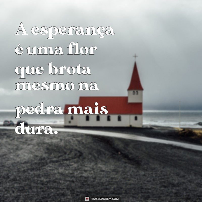 Frases Poéticas Curtas: Inspiração em Palavras Breves para Refletir 