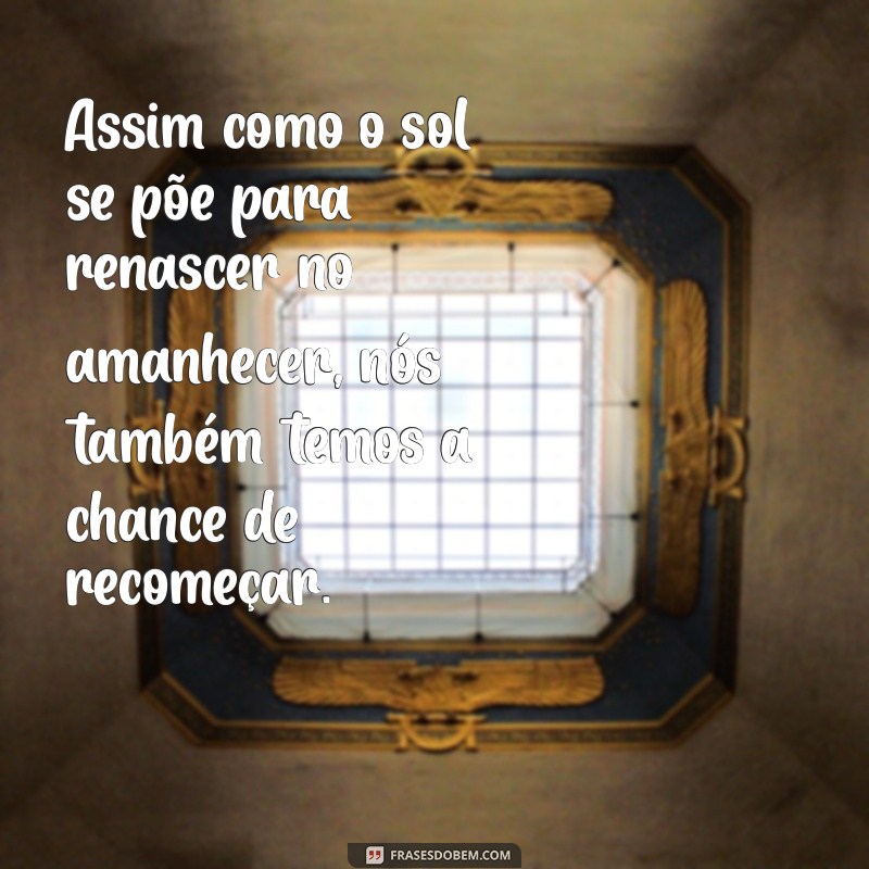 Metamorfose: Frases Inspiradoras para Transformar sua Vida 