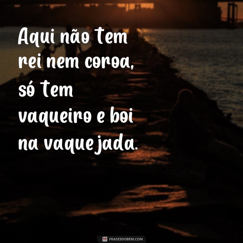 Descubra as melhores frases para legendar suas fotos de vaquejada! 