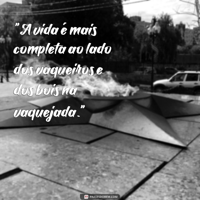 frases fotos de vaquejada 