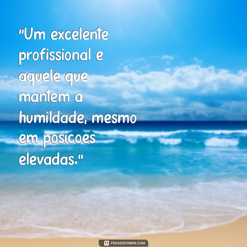 Como Reconhecer um Excelente Profissional: Dicas e Qualidades Essenciais 