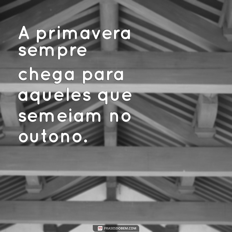 Frases Inspiradoras sobre Semear: Cultivando Ideias e Reflexões 