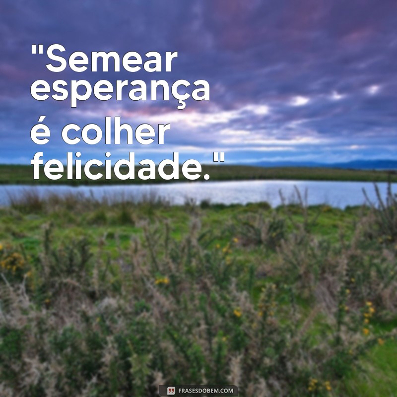 frases sobre semear 