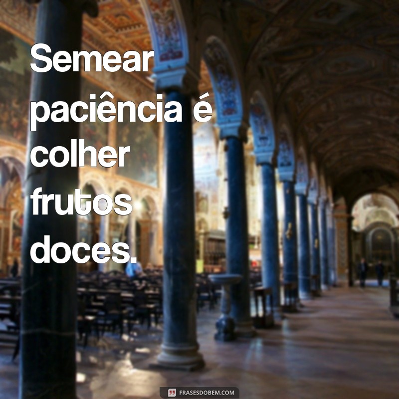 Frases Inspiradoras sobre Semear: Cultivando Ideias e Reflexões 