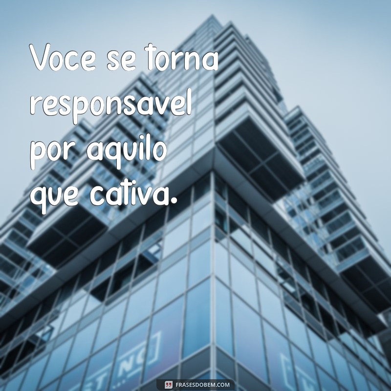 As Melhores Frases do Pequeno Príncipe para Inspirar Seu WhatsApp 