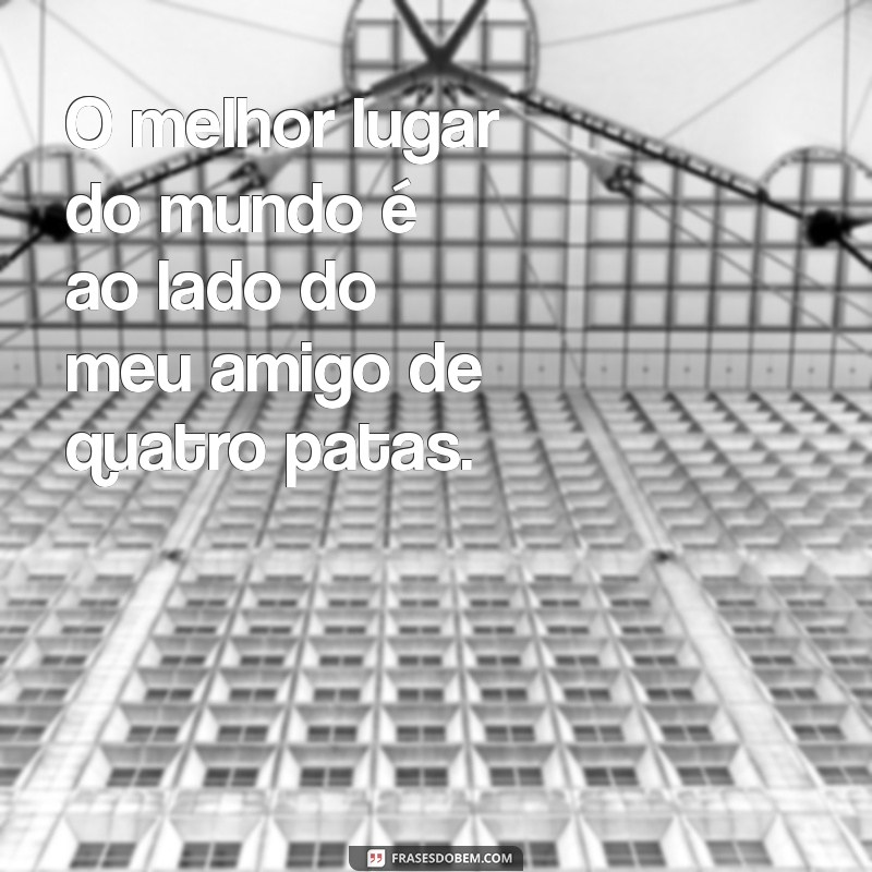 Descubra o Verdadeiro Amor pelo Seu Pet: Dicas para Fortalecer Esse Laço Incondicional 