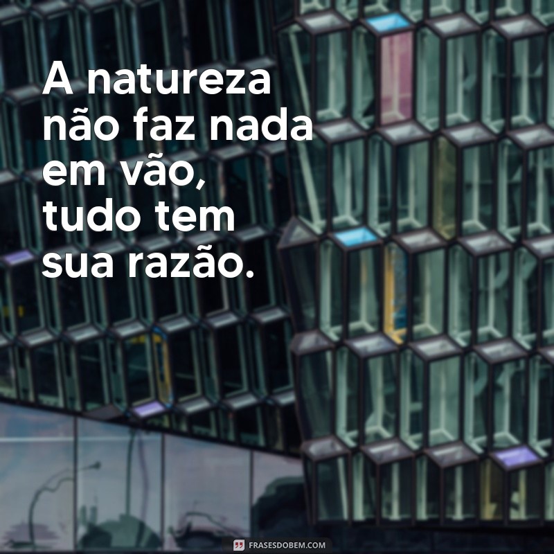 50 Frases Inspiradoras para Acompanhar Suas Fotos de Natureza 