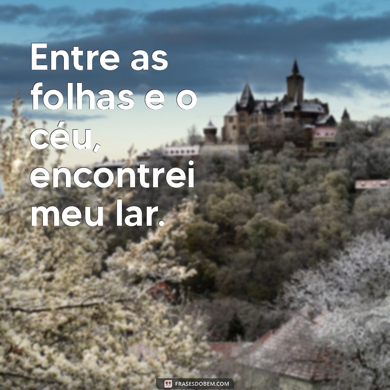 50 Frases Inspiradoras para Acompanhar Suas Fotos de Natureza 