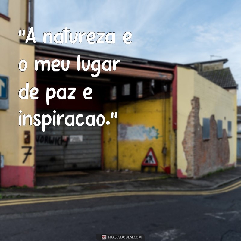 frases para fotos natureza 