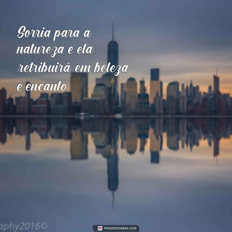 50 Frases Inspiradoras para Acompanhar Suas Fotos de Natureza 