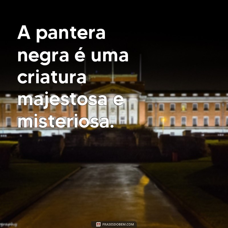 frases de pantera negra A pantera negra é uma criatura majestosa e misteriosa.