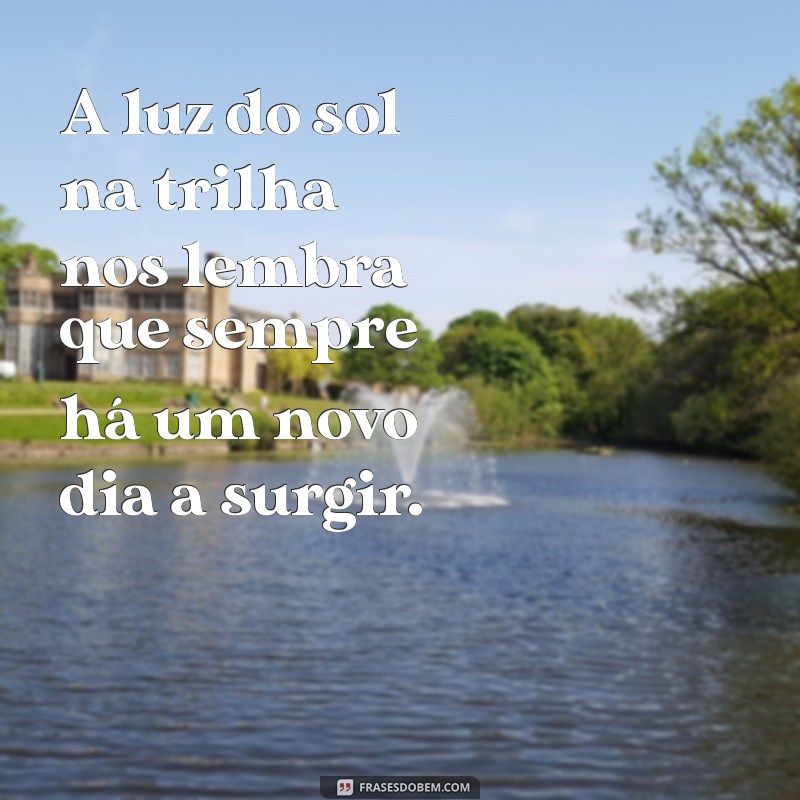 Frases Inspiradoras para Celebrar a Beleza das Trilhas na Natureza 