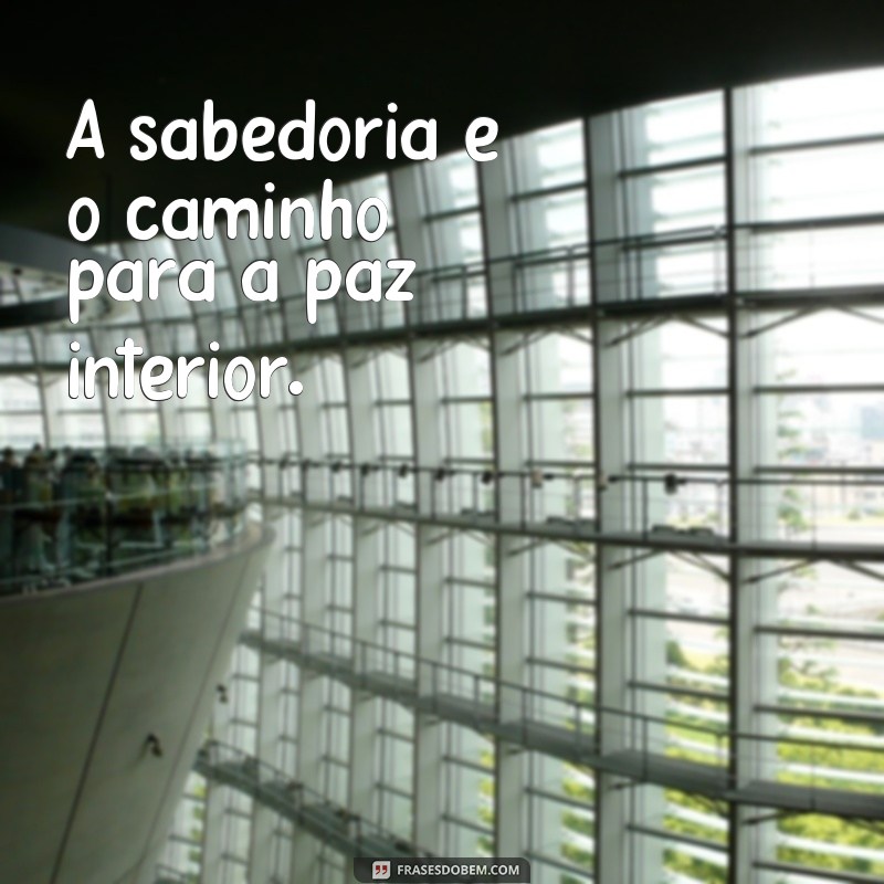 Descubra as melhores frases de sabedoria para inspirar seu dia a dia 