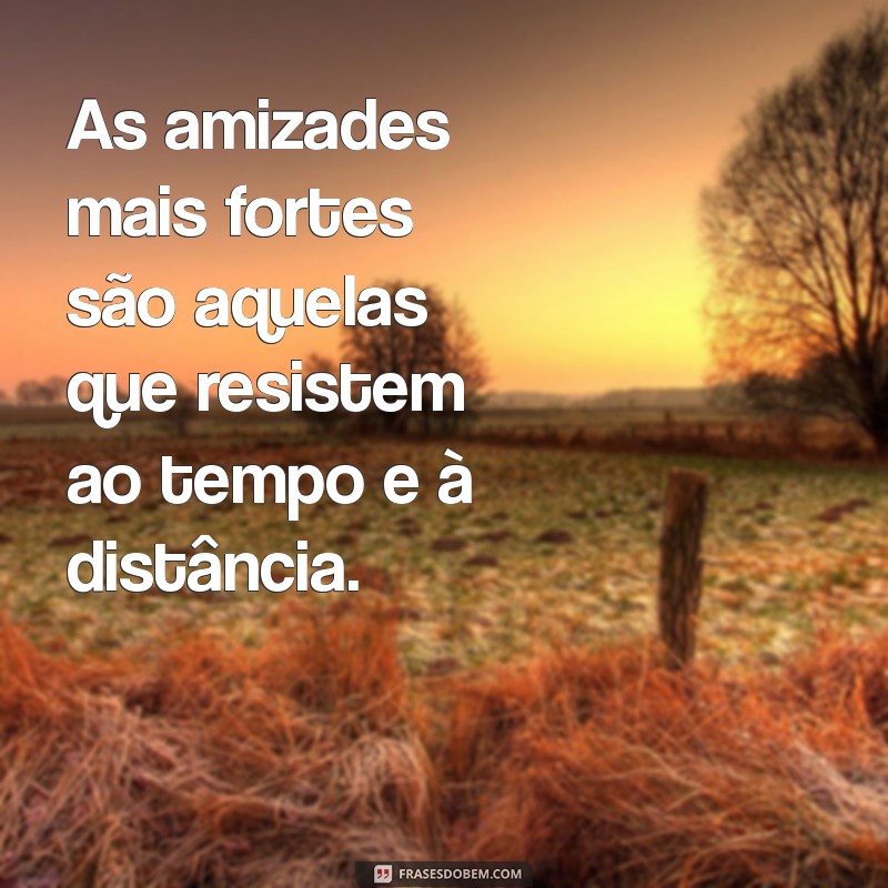 Frases Inspiradoras para Celebrar a Amizade 