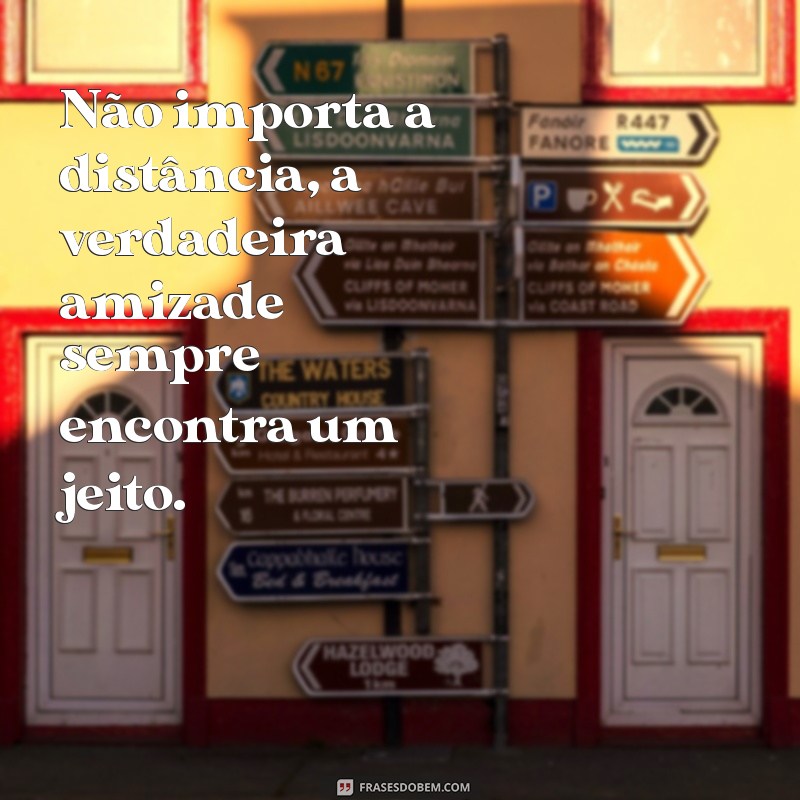 Frases Inspiradoras para Celebrar a Amizade 