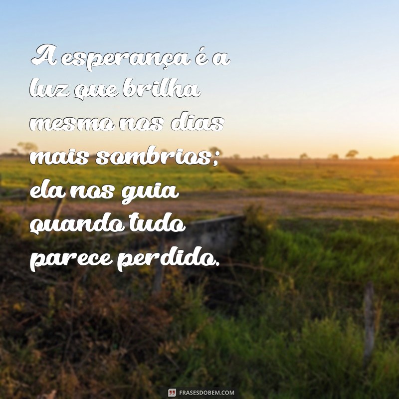 reflexão sobre esperança A esperança é a luz que brilha mesmo nos dias mais sombrios; ela nos guia quando tudo parece perdido.