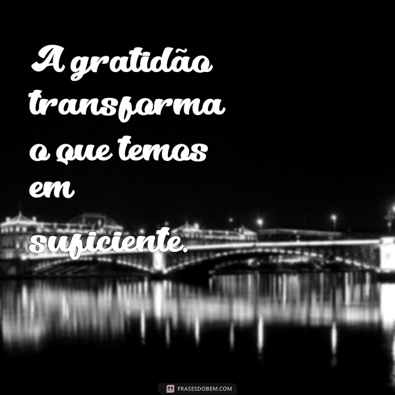 frases texto do dia A gratidão transforma o que temos em suficiente.