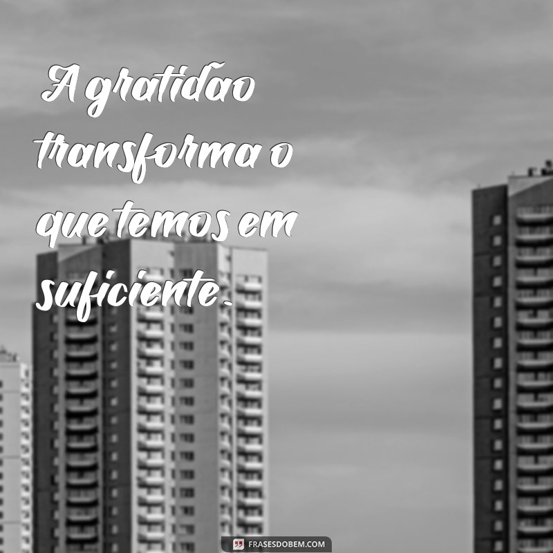 frases de estar de bem com a vida A gratidão transforma o que temos em suficiente.