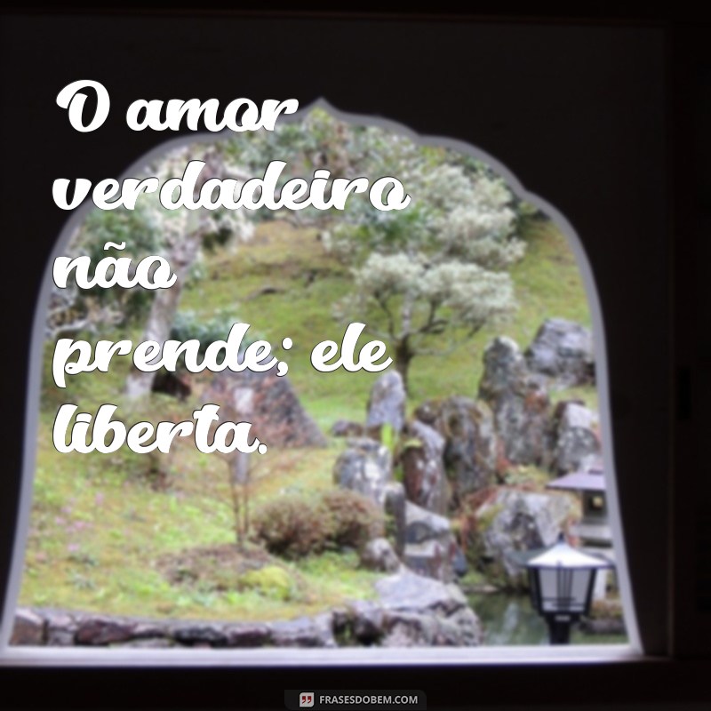 Amar é Deixar Ir: Aprenda a Libertar-se com Sabedoria 