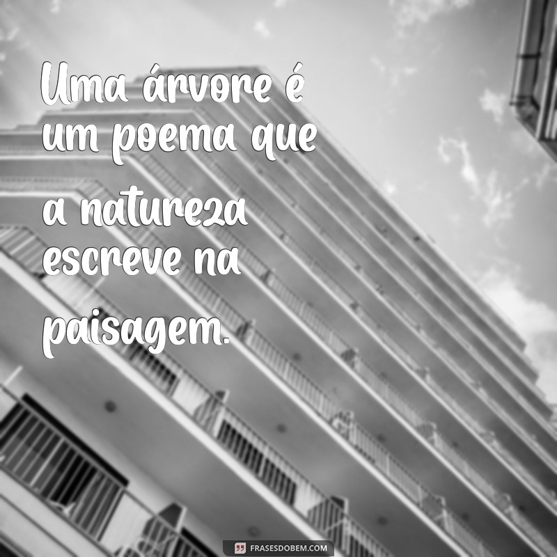 Frases Inspiradoras para Celebrar o Dia da Árvore 