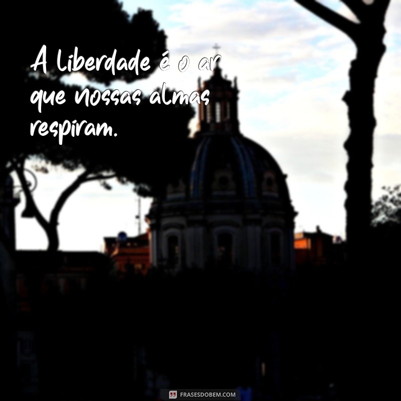 frases com a palavra liberdade A liberdade é o ar que nossas almas respiram.