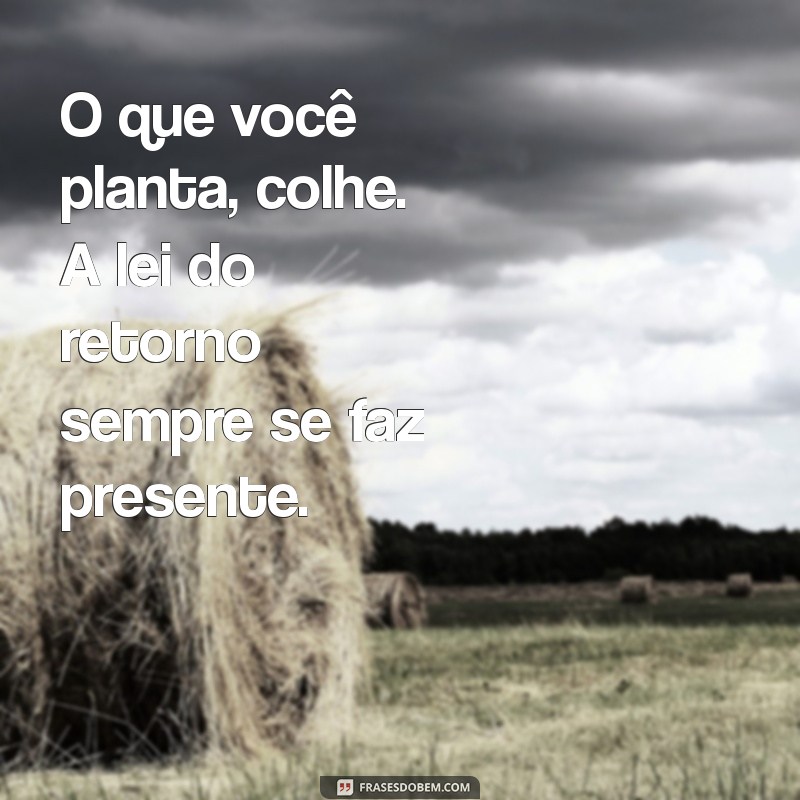 mensagem a lei do retorno aqui se faz aqui se paga O que você planta, colhe. A lei do retorno sempre se faz presente.