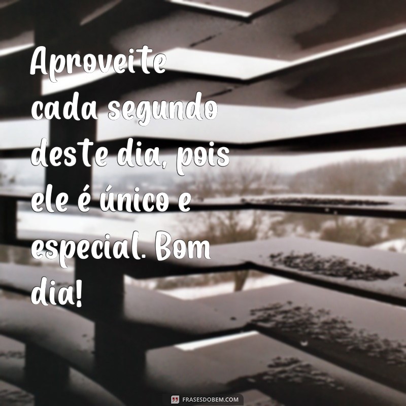 Encante seus contatos do WhatsApp com frases inspiradoras de bom dia para cartões 