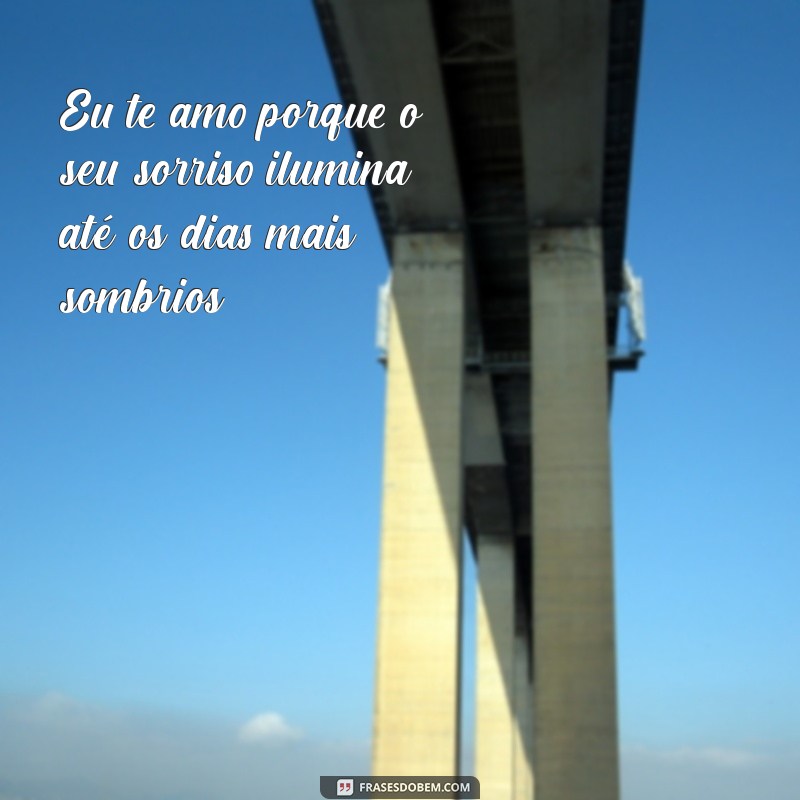 eu te amo porque te amo drummond Eu te amo porque o seu sorriso ilumina até os dias mais sombrios.