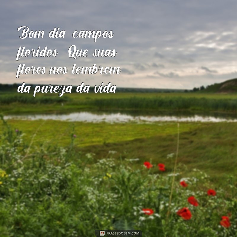 Bom Dia Campos Floridos: Inspire-se com Frases que Celebram a Beleza da Natureza 