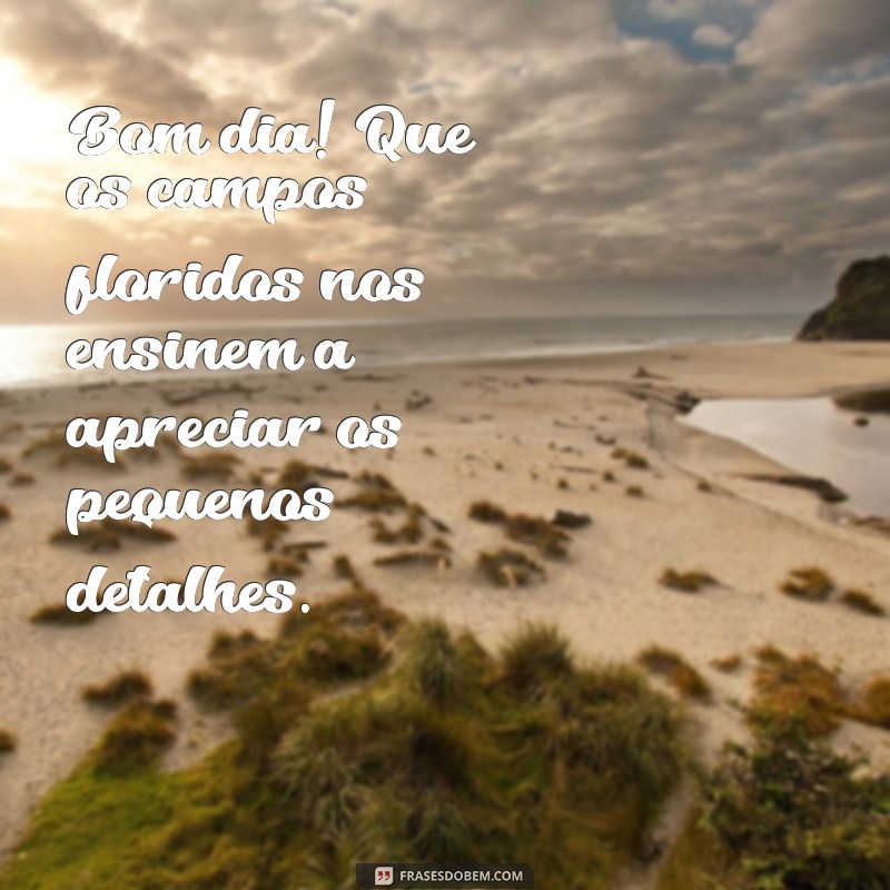 Bom Dia Campos Floridos: Inspire-se com Frases que Celebram a Beleza da Natureza 