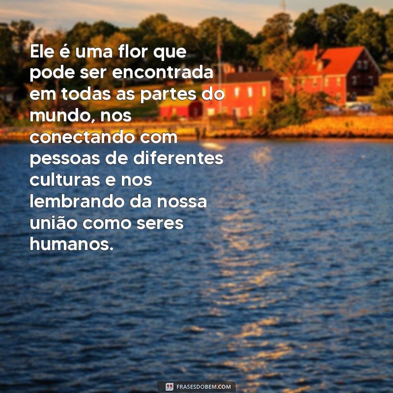 Descubra o Poder do Significado Espiritual por Trás das Frases Girassol 