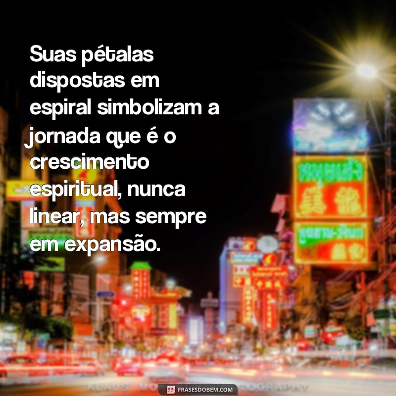 Descubra o Poder do Significado Espiritual por Trás das Frases Girassol 