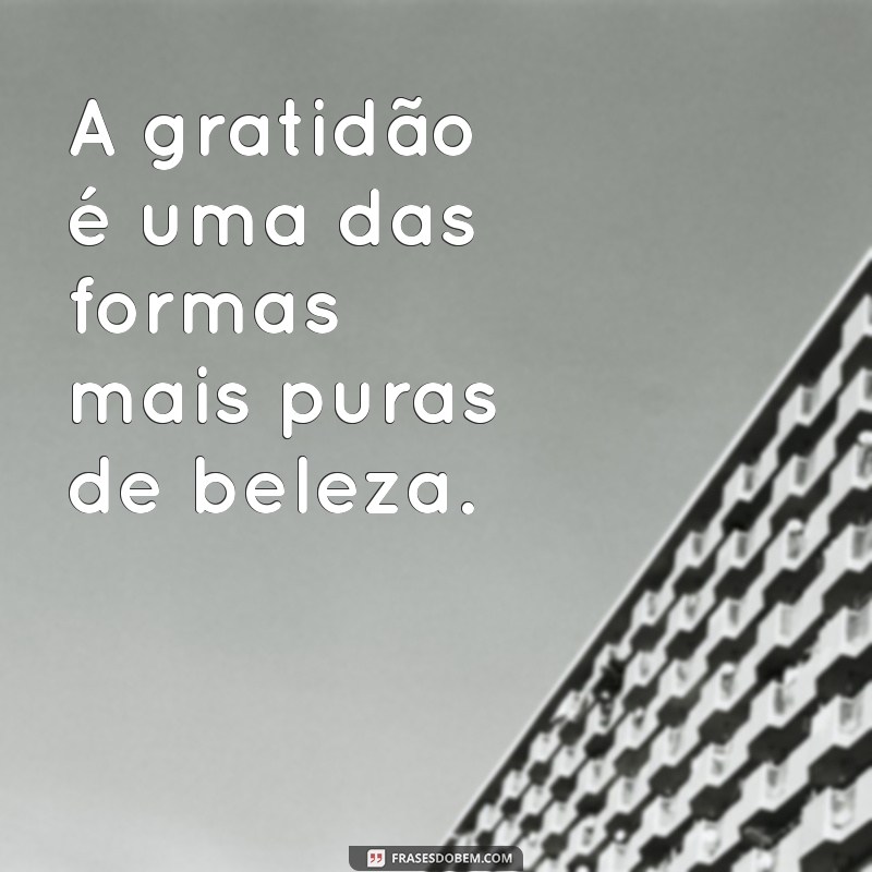 Descubra as Melhores Frases sobre Beleza para Inspirar e Motivar 