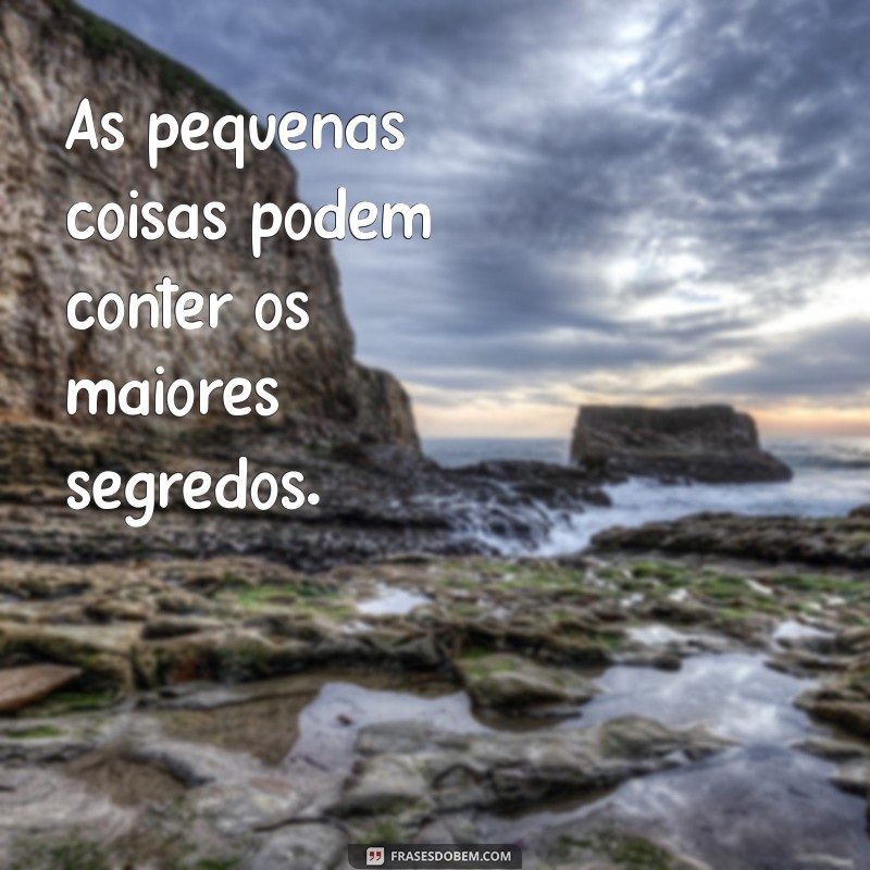 Como Indire Pode Transformar Sua Comunicação e Relacionamentos 