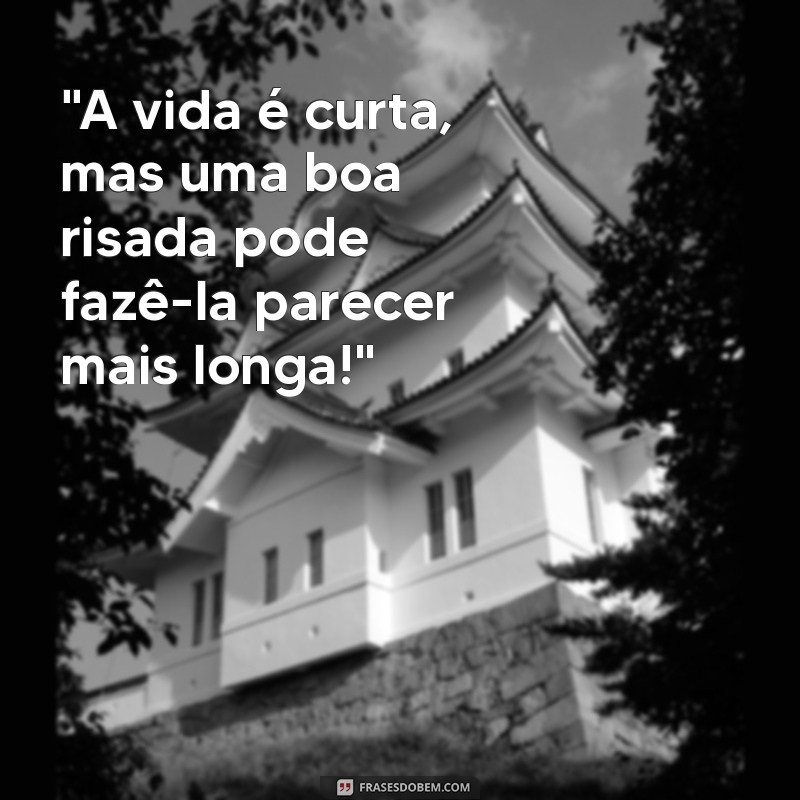 frases do dia humor 