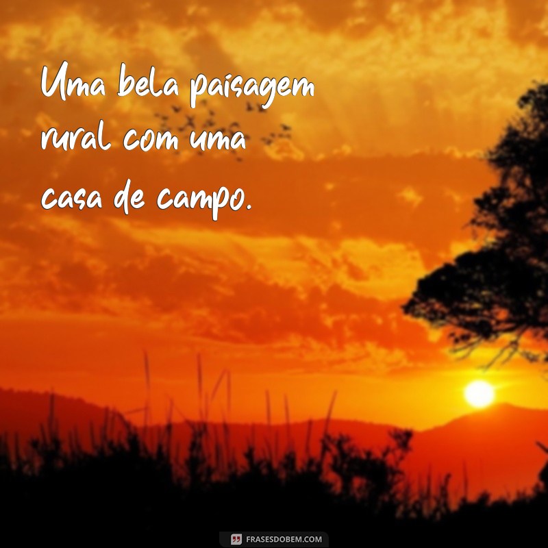 As Melhores Fotos para Perfil do WhatsApp: Inspire-se com Imagens Lindas 