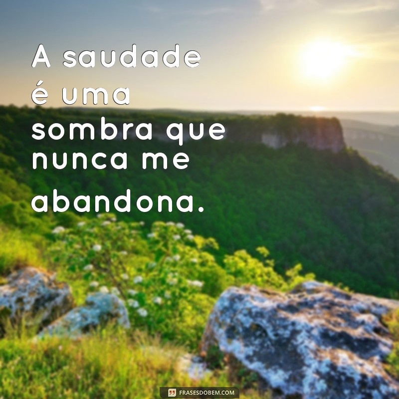 sentimos sua falta A saudade é uma sombra que nunca me abandona.