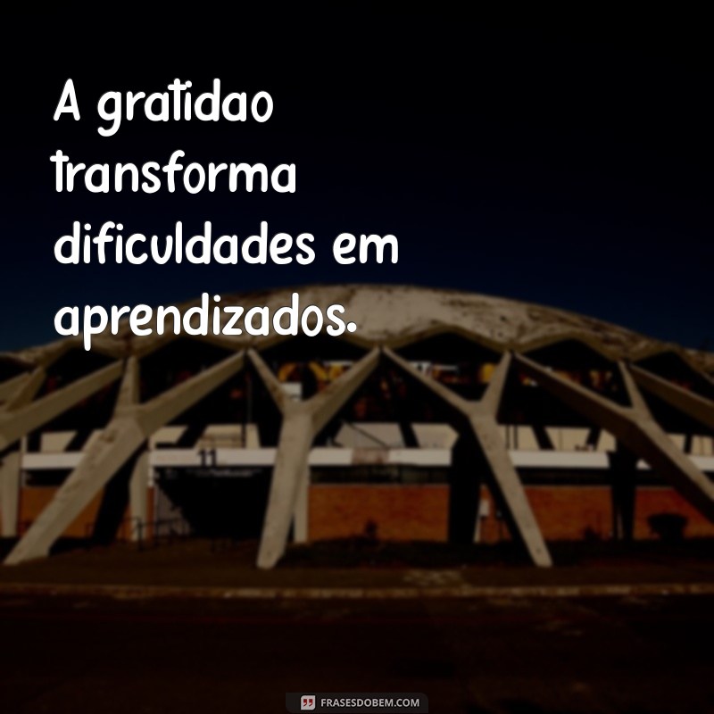 Frases de Agradecimento para Status: Expresse sua Gratidão de Forma Criativa 