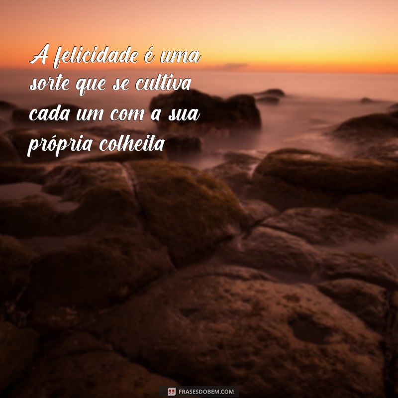 Frases do Dia: Cada Um Com Sua Sorte - Inspirações Diárias 