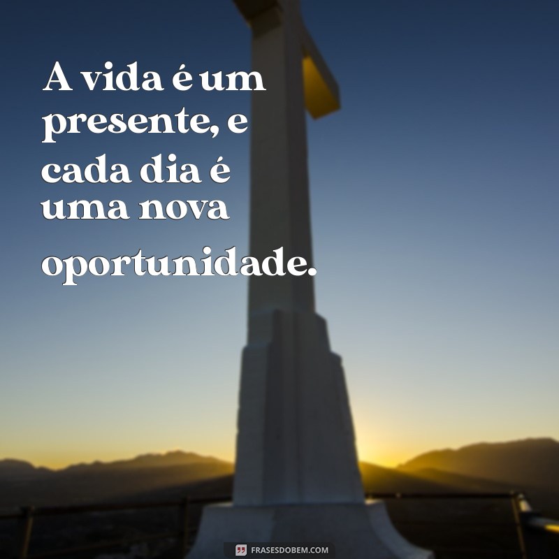 As Melhores Frases de Padre Fábio de Melo para Inspirar sua Vida 