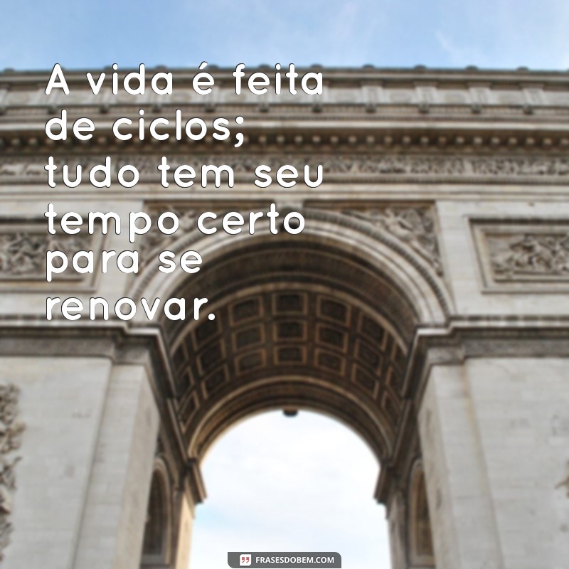 Aprenda a Esperar: A Importância de Reconhecer o Tempo Certo para Cada Coisa 