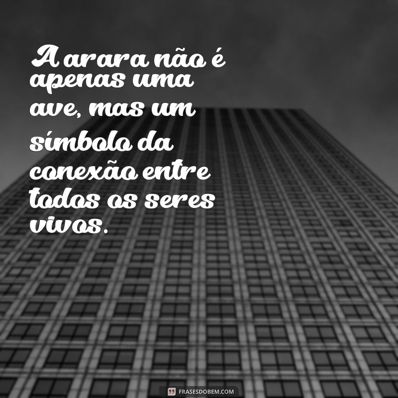 Descubra 126 Frases Inspiradoras com a Palavra Arara para Encantar e Refletir 